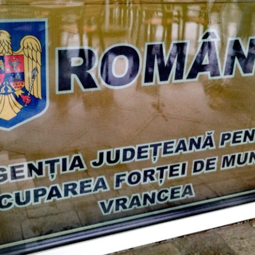 Aproape 200 de locuri de muncă disponibile prin AJOFM Vrancea în 2025