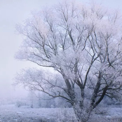 Prognoza meteo 1-14 decembrie 2025: temperaturi peste medie și precipitații locale