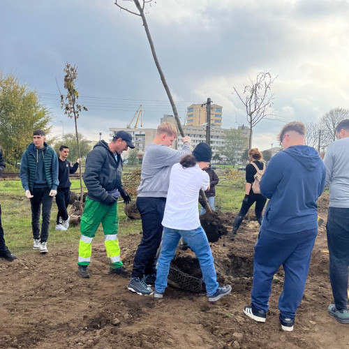 Tulcea extinde fondul dendrologic urban printr-o sesiune de plantare de toamnă