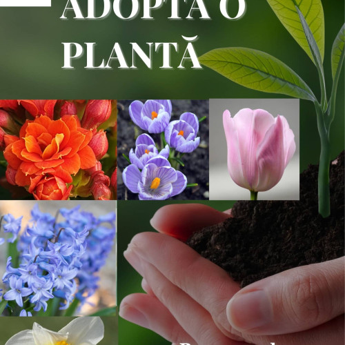 Elevii din Tulcea au plantat bulbi în Grădina Botanică Bididia, în cadrul proiectului Adoptă o plantă