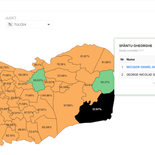 Tulcea, singurul județ cu rezultate apropiate de media națională la alegerile din 2025