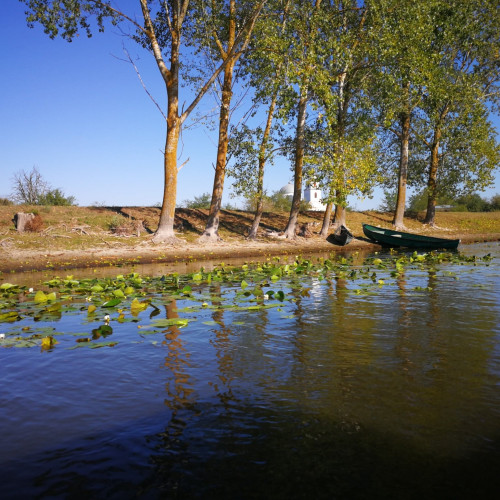 Ziua patrimoniului UNESCO și a toleranței, sărbătorite pe 16 noiembrie în România
