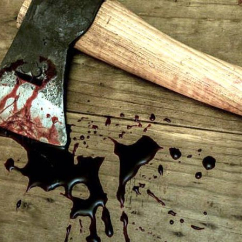 Sentință de 29 de ani pentru bărbatul care și-a ucis soția în spatele casei