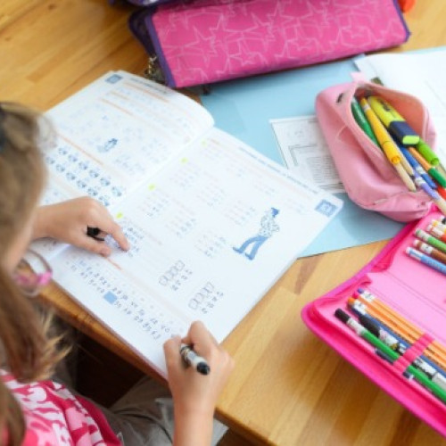 Ministrul Educației a semnat ordinul privind reglementarea temelor pentru acasă