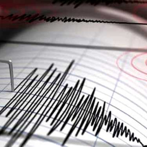 Cutremur de magnitudinea 3,5 în zona seismică Vrancea