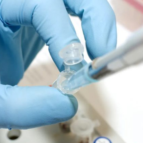 Un medicament contra cancerului poate prelungi viața celulelor și încetini îmbătrânirea