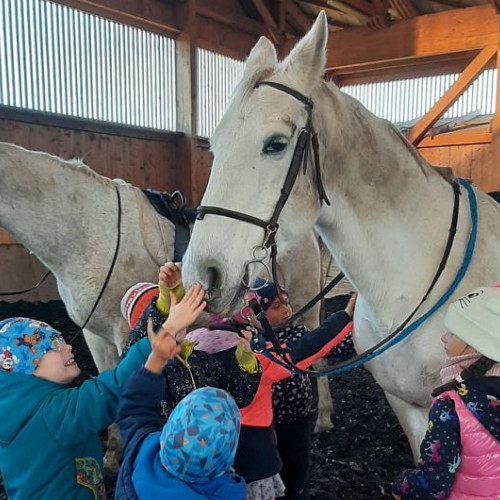 Copiii de la Grădinița Albă ca Zăpada au participat la programul de echitație RáhangoLó