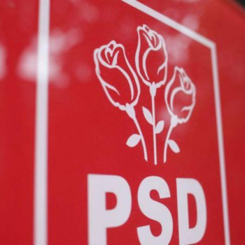 PSD a câștigat majoritatea alegerilor parțiale în 11 comune și un orășel din România