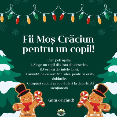 Cercetașii Tulcea lansează campania „Fii Moș Crăciun pentru un Copil!”