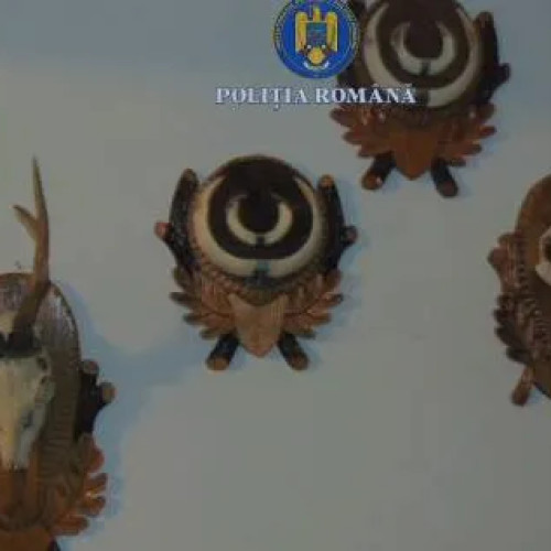 Patru bărbați reținuți pentru braconaj și vânătoare fără autorizație în Gorj