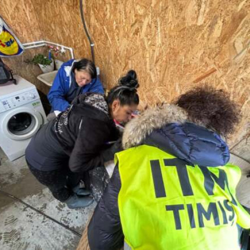 ITM Timiș a sancționat peste 150 de angajați fără forme legale în construcții