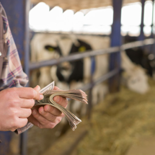 AFIR a transferat peste 1,5 miliarde de lei fermierilor în noiembrie 2025