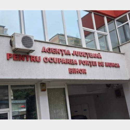 Creștere ușoară a ratei șomajului în Bihor la finalul lunii noiembrie 2025
