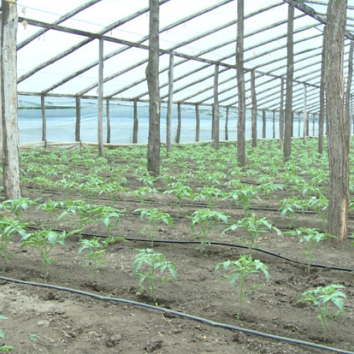 PSD cere eliminarea impozitului pe solarii în următoarea ședință a coaliției