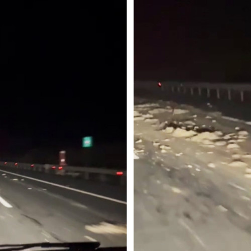 Trafic blocat pe A2 între București și Constanța din cauza unor resturi de animale pe șosea