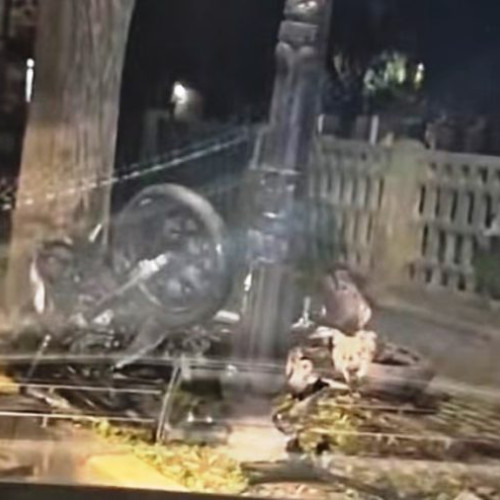 Accident grav la Tecuci: două adolescente lovite de un șofer băut