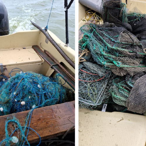 Acțiuni de protecție a mediului în Delta Dunării cu confiscări importante