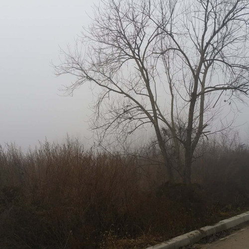 Temperaturi în scădere și ceață în Alba în weekendul 12-14 decembrie