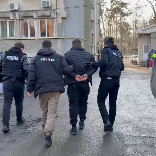 Botoșănean de 26 de ani, arestat după ce a ucis un câine cu o bărdiță