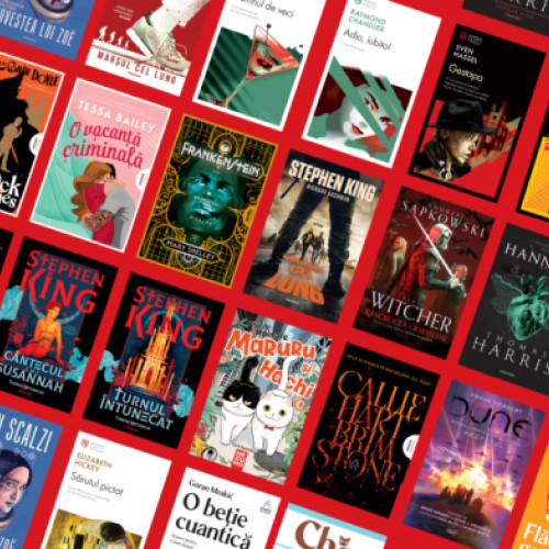 Nemira critică programa școlară propusă pentru limba română din clasa a IX-a