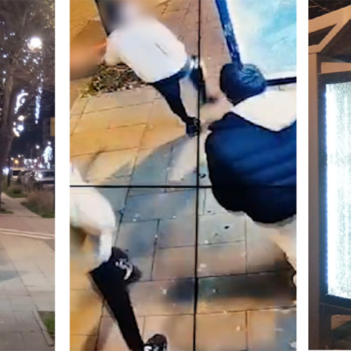 Identificate două persoane implicate în vandalizarea unui adăpost din Constanța