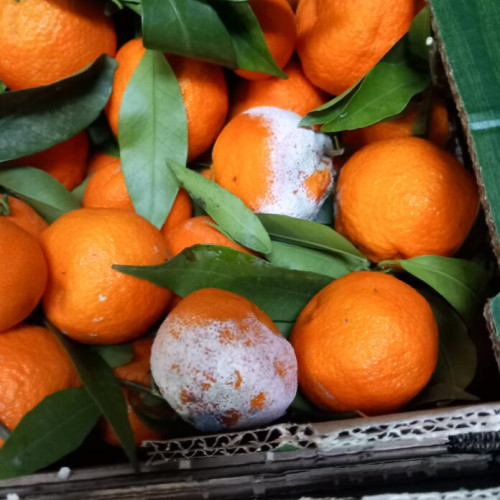 ANPC a aplicat peste 2.000 de amenzi în urma controalelor la comercianți din decembrie