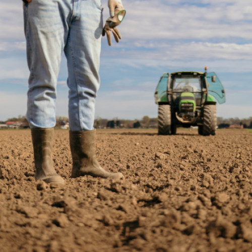 Începe reabilitarea stațiilor de irigații pe valea Dunării, un ajutor pentru fermierii din Oltenia