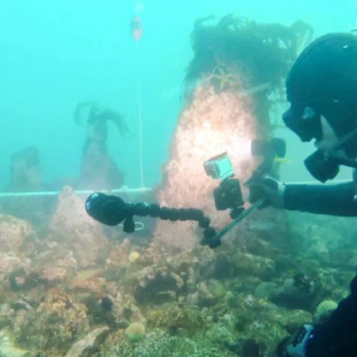 Descoperire arheologică: zid submarin din epoca de piatră în largul Bretaniei