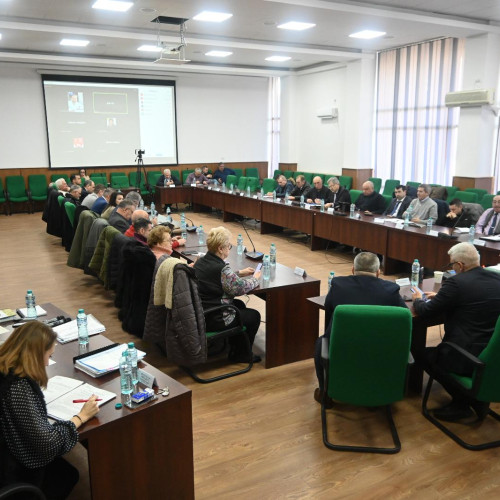 Consiliul Județean Vaslui va desemna șase membrii în Autoritatea Teritorială de Ordine Publică