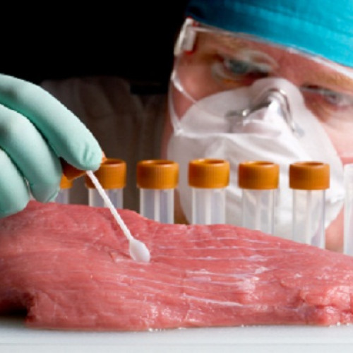 DSVSA Giurgiu asigură permanență pentru examenele trichineloscopice până de Crăciun