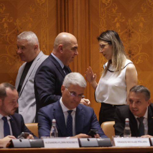 Senatul aprobă moțiunea simplă împotriva ministrei Mediului Diana Buzoianu