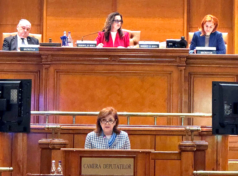 Camera Deputaților a votat o lege care aduce mai mulți bani comunităților rurale