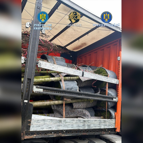 Poliția și procurorii au prins un cetățean turc cu 37 de kilograme de canabis la frontiera Giurgiu