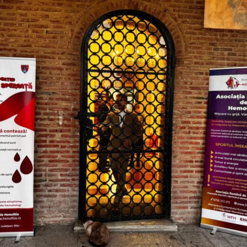 Consiliul Județean Ilfov susține pacienții cu hemofilie prin programul „Ilfov pentru picături de speranță”