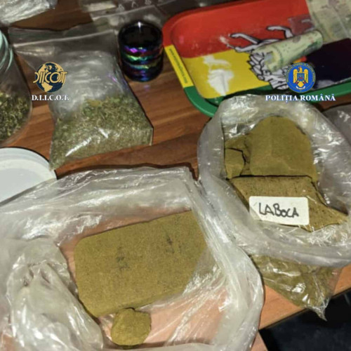 Tânăr din Alba Iulia condamnat cu suspendare pentru deținere de hașiș