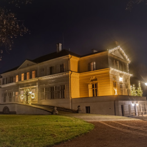 Familia Regală petrece Crăciunul la Castelul Regal de la Săvârșin și deschide Târgul Regal de Crăciun