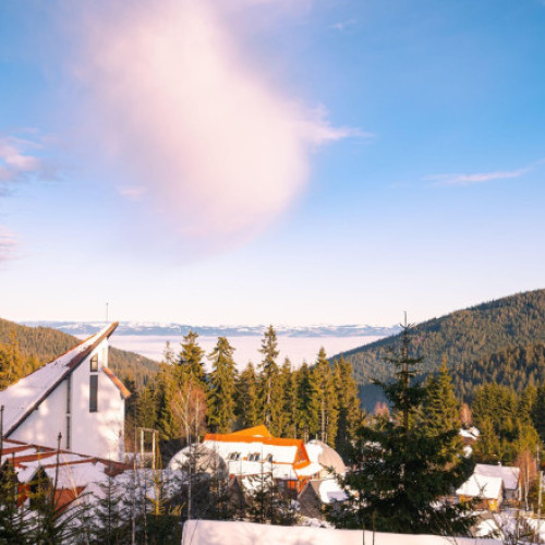 Un bărbat din Prahova anchetat pentru înșelăciune legată de închirierea unei pensiuni fictive