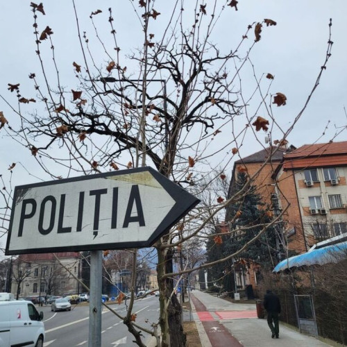 Polițiștii au efectuat percheziții și reținut doi bărbați pentru fals în documente silvice în județul Bistrița-Năsăud