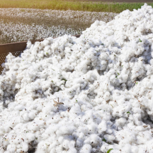 Guvernul va plăti o datorie de peste 6,8 milioane de dolari către SUA pentru un credit din 1992