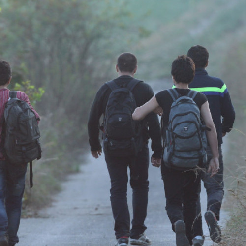 Germania pregătește relocarea a 535 de afgani din Pakistan