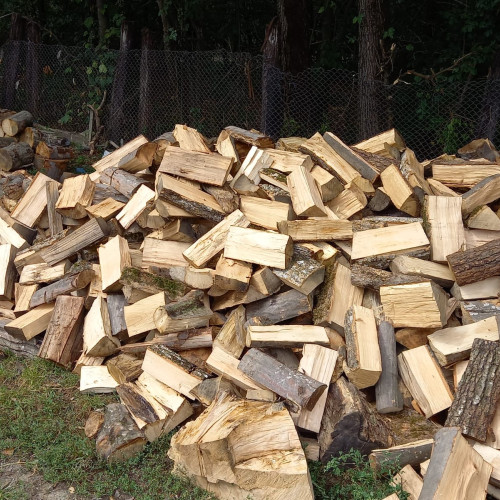 Peste 20.000 de botoșăneni primesc ajutor pentru încălzirea cu lemne în acest sezon