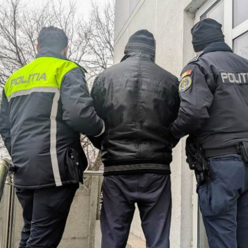 Bărbat din Liești, arestat la domiciliu pentru cruzimea față de câinele soției