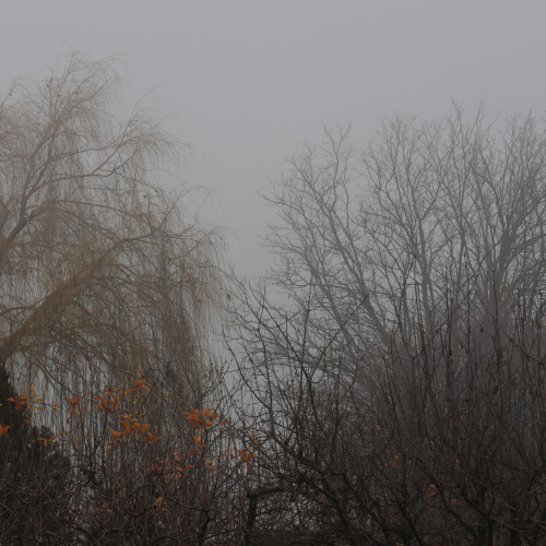 Cod galben de ceață prelungit în județul Botoșani: vizibilitate redusă pe mai multe drumuri