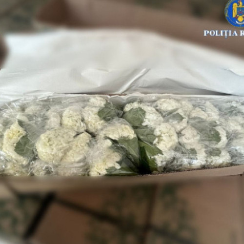 Patru bărbați trimiși în judecată pentru trafic de cocaină adusă din Columbia în cutii de flori