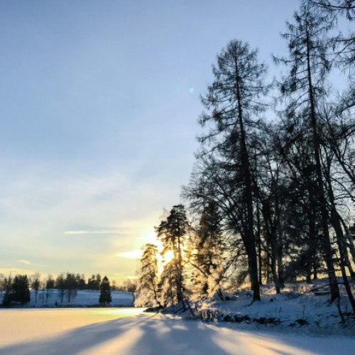 Solstițiul de iarnă aduce cea mai scurtă zi și noaptea lungă în 2025