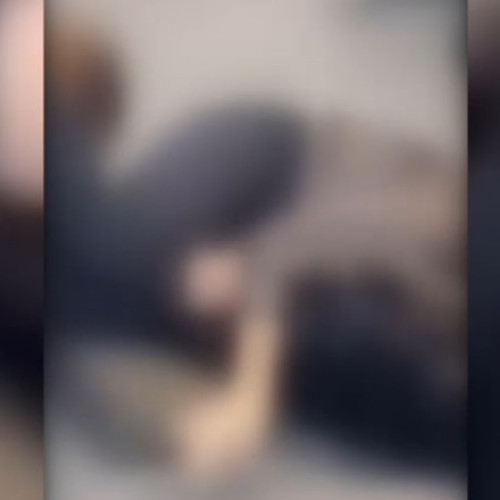 Două tinere din Timișoara au agresat o femeie în fața unui hotel, conflictul având legătură cu un creator TikTok