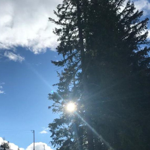 Solstițiul de iarnă marchează începutul astronomic al iernii și cel mai scurt interval de lumină naturală