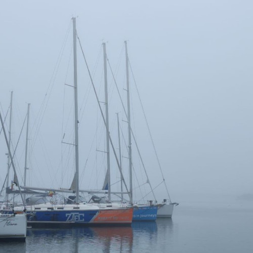 ANM anunță ceață și ploi slabe în majoritatea regiunilor din țară în 21 decembrie