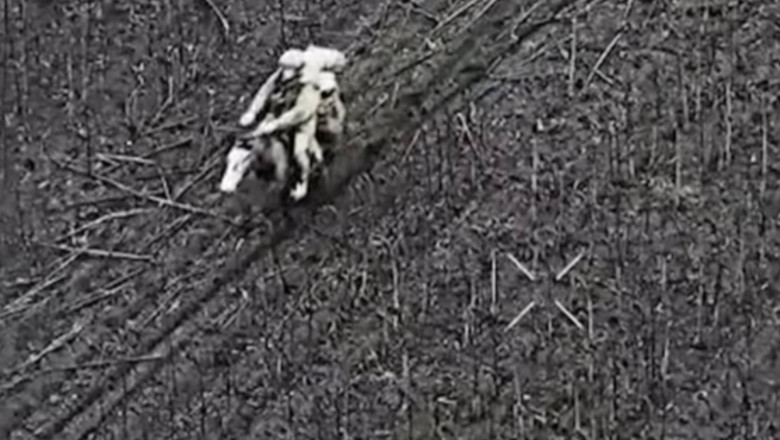 Forțele Armate Ucrainene au respins un atac cu soldați ruși călare în Donbas