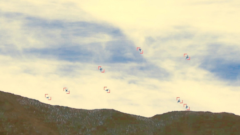 Startup suedez dezvoltă interceptor low-cost pentru contracararea roiurilor de drone